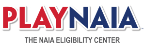 playnaia_color_logo